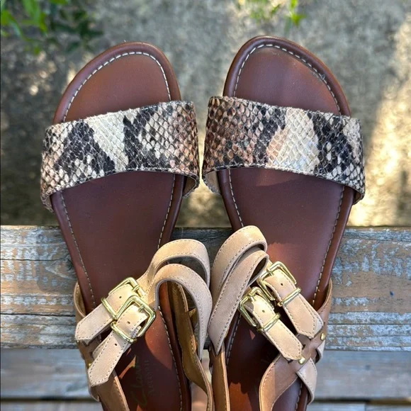 Clarks Snakeskin Pattern Strappy Sandals - Picture 5 of 7
